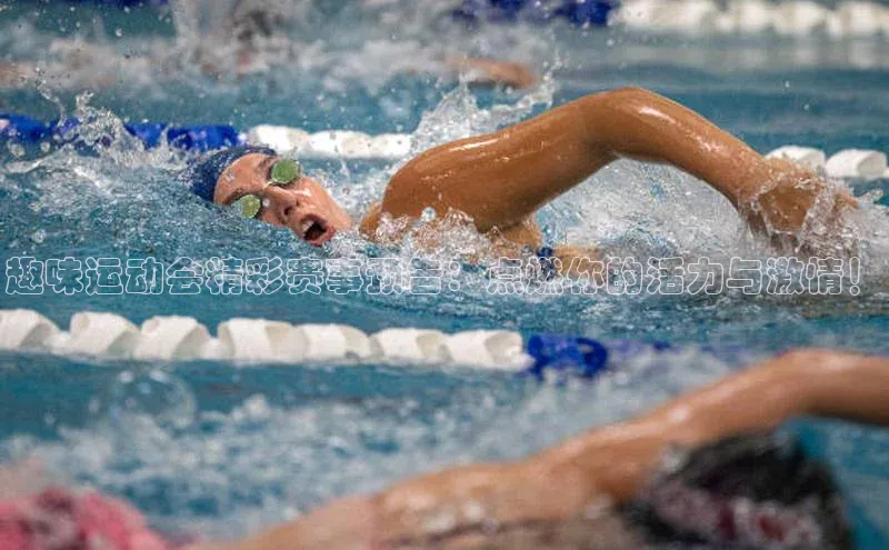 门徒平台登录地址