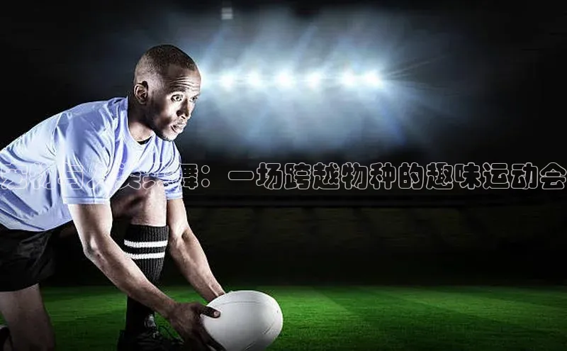 门徒娱乐